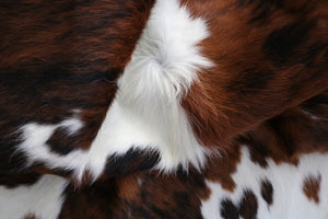 Real Cowhide Rug Tricolor. Premium Collection. Code 98012