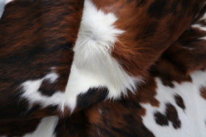 Real Cowhide Rug Tricolor. Premium Collection. Code 98012