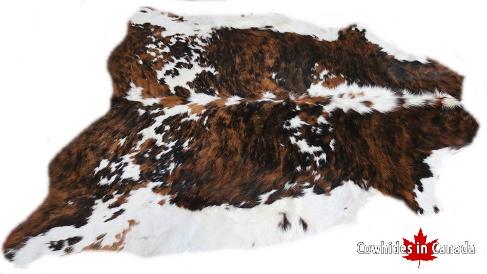 Real Cowhide Rug Tricolor. Premium Collection. Code 98013