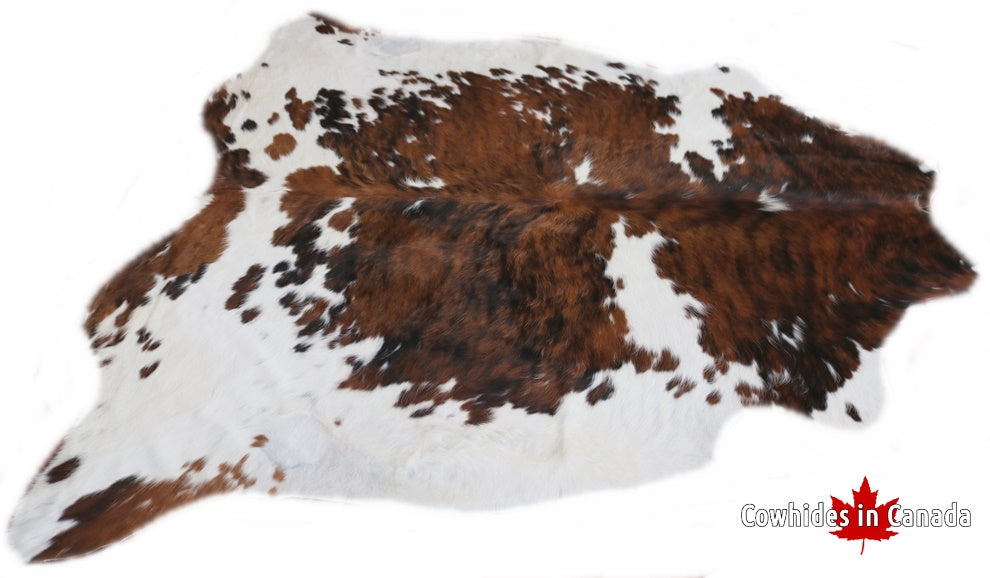 Big Real XXXL Cowhide Rug Tricolor. Premium Collection. Code 98014