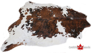 Big Real XXXL Cowhide Rug Tricolor. Premium Collection. Code 98014