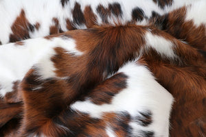 Big Real XXXL Cowhide Rug Tricolor. Premium Collection. Code 98014