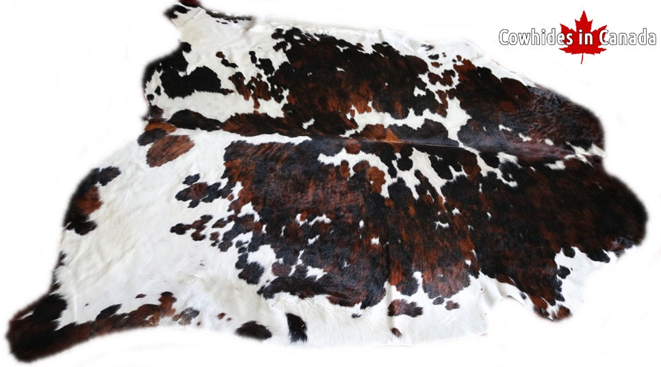 Big Real XXXL Cowhide Rug Tricolor. Premium Collection. Code 98015