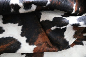 Big Real XXXL Cowhide Rug Tricolor. Premium Collection. Code 98015