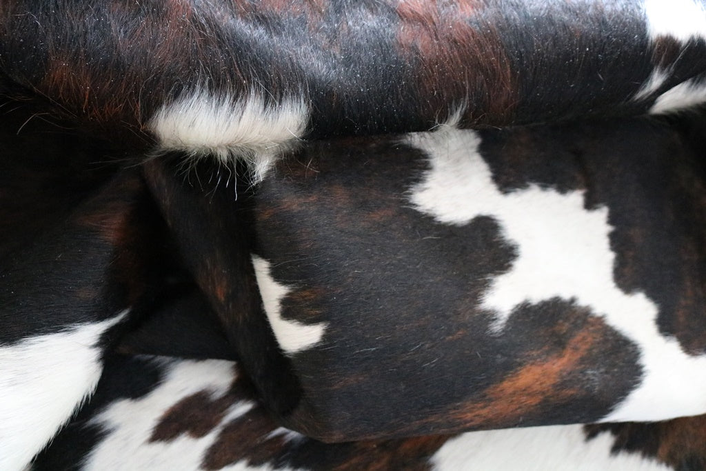 Big Real XXXL Cowhide Rug Tricolor. Premium Collection. Code 98015