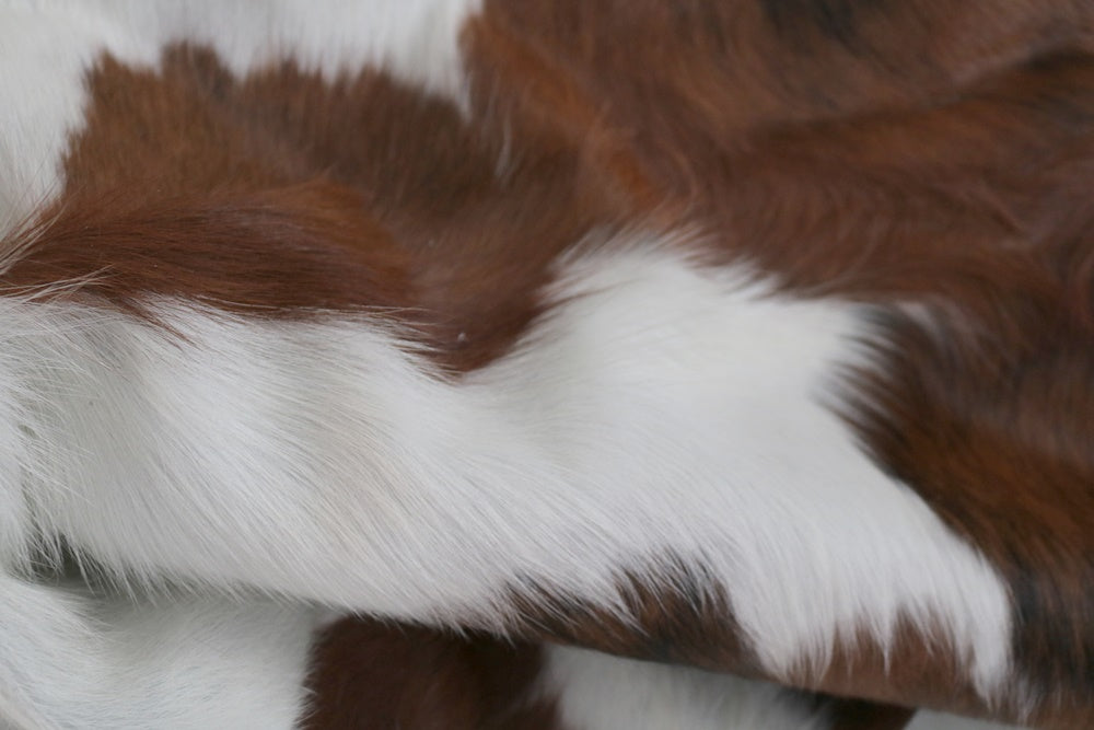 Real Cowhide Rug Tricolor. Premium Collection. Code 98016