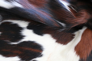 Real Cowhide Rug Tricolor. Premium Collection. Code 98017