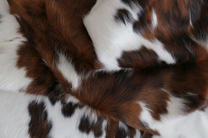 Big Real XXXL Cowhide Rug Tricolor. Premium Collection. Code 98014