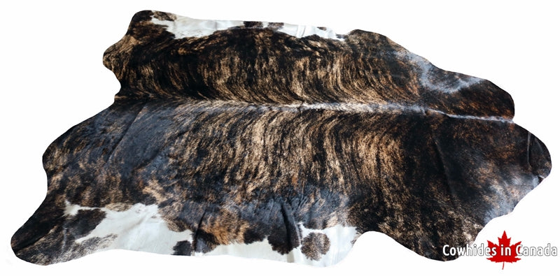 99239- SUPER BIG Brindle Cowhide Rug  SIZE XXXL - Premium Collection