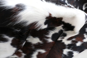 Big Real XXXL Cowhide Rug Tricolor. Premium Collection. Code 97040