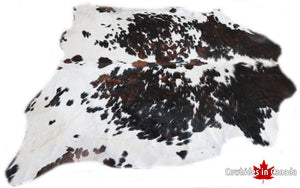 Big Real XXXL Cowhide Rug Tricolor. Premium Collection. Code 97040