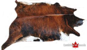 A 40003  Cowhide rug  Collection XXXXL  Cowhides in Canada SUPER BIG SIZE