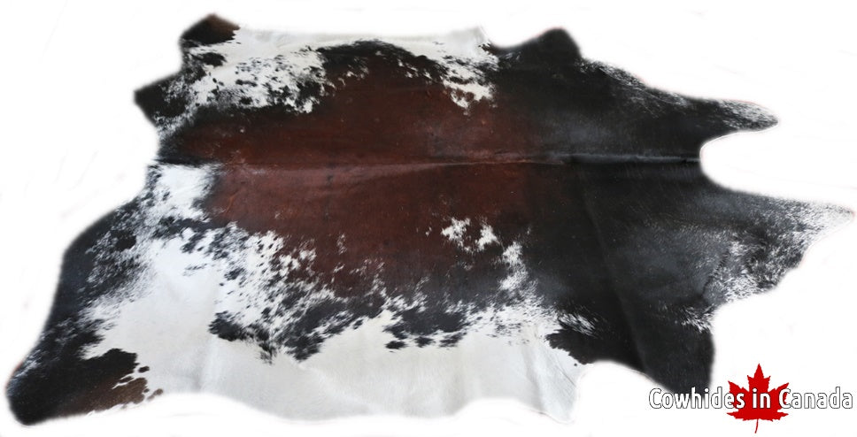 Exotic cowhide rug brown white and black