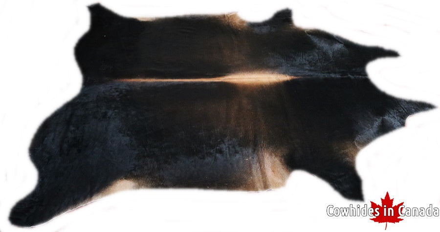 A 32441  Cowhide rug Collection XXXL  Cowhides in Canada SUPER BIG SIZE