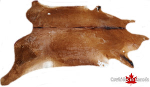 A 32491 Cowhide rug  XXXL Collection Cowhides in Canada SUPER BIG SIZE