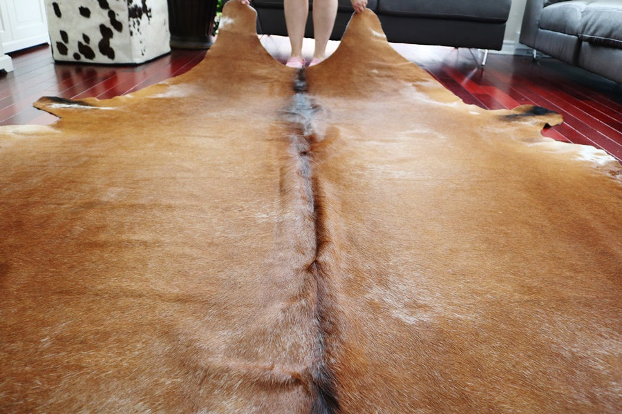 A 32491 Cowhide rug  XXXL Collection Cowhides in Canada SUPER BIG SIZE