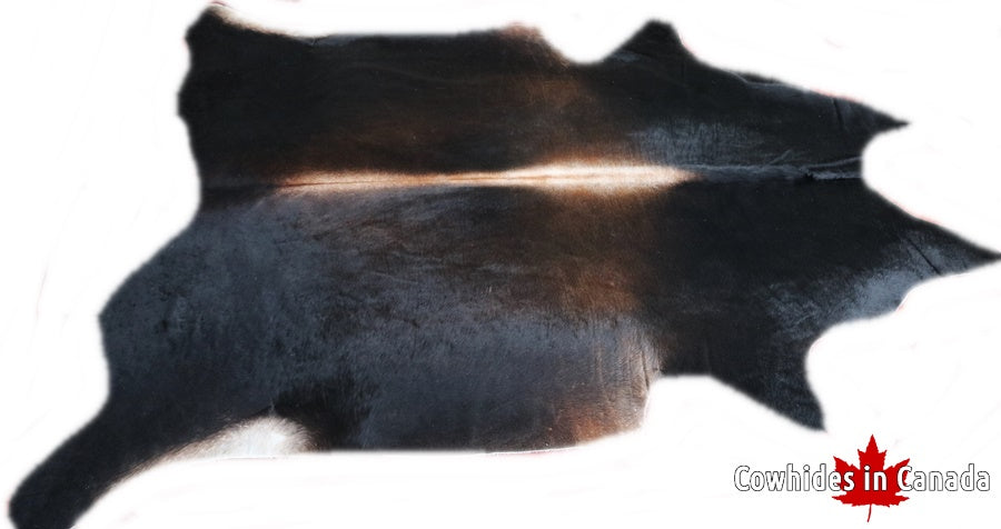 A 32541 Cowhide rug Collection Cowhides in Canada XXXL