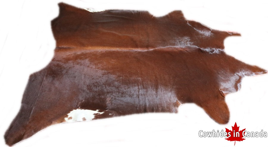 A 32553  Cowhide rug  Collection XXXXL  Cowhides in Canada SUPER BIG SIZE