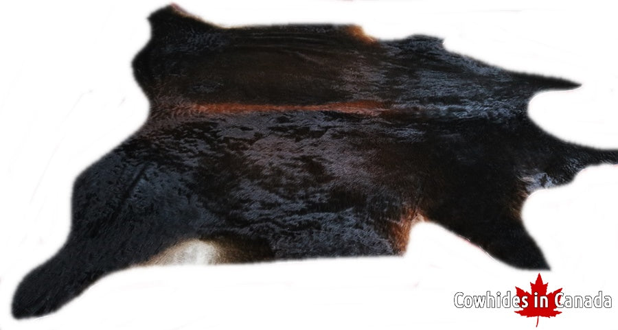 A 32556 Cowhide rug  Collection XXXXL  Cowhides in Canada SUPER BIG SIZE