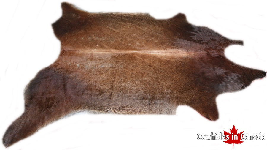 A 32560  Cowhide rug  Collection  Cowhides in Canada XXXL