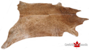 A 32575  Cowhide rug  Collection XXXXL  Cowhides in Canada SUPER BIG SIZE