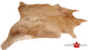 A 40006  Cowhide rug  Collection XXXXL  Cowhides in Canada SUPER BIG SIZE