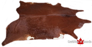 A 40008 Cowhide rug  Collection XXXXL  Cowhides in Canada SUPER BIG SIZE