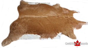 A 40021  Cowhide rug  Collection XXXXL  Cowhides in Canada SUPER BIG SIZE