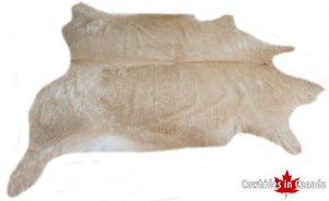 A  40051 Cowhide rug Collection Cowhides in Canada XXXL SUPER BIG SIZE