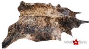 A  40273 Cowhide rug Collection Cowhides in Canada XXXL SUPER BIG SIZE