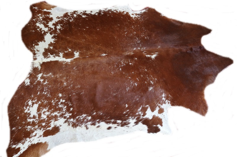 A 9303  cowhide rug tapis peau de vache  XXL  Collection Canada Premium