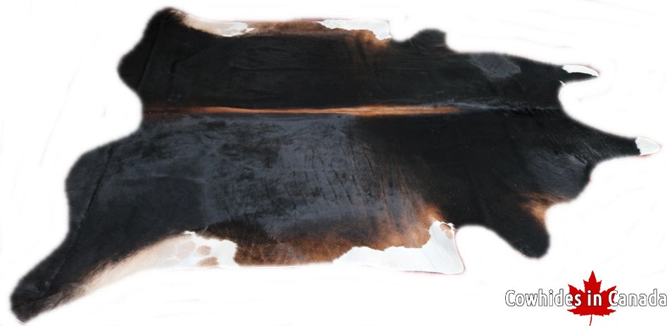 A  70351  Cowhide rug Collection Cowhides in Canada XXXL SUPER BIG SIZE