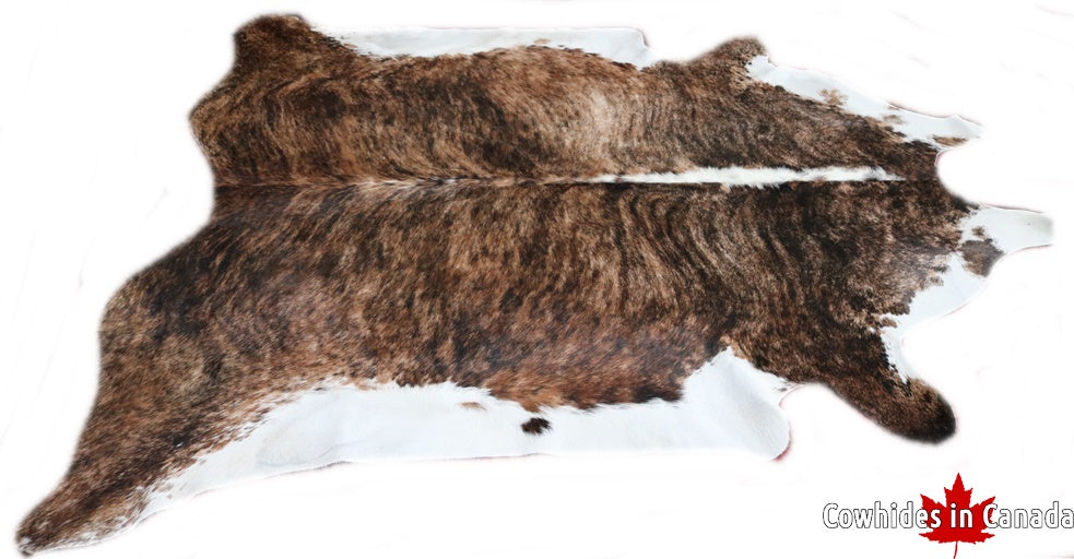 A  70352  Cowhide rug Collection Cowhides in Canada XXXL SUPER BIG SIZE