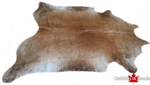 A 70381 Cowhide rug Collection Cowhides in Canada XXXL SUPER BIG SIZE