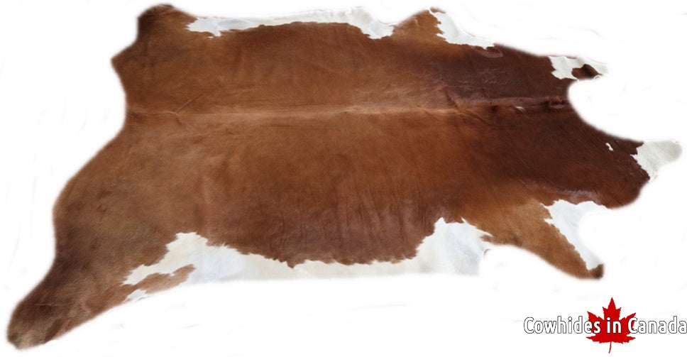 A 70382 Cowhide rug Collection Cowhides in Canada XXXL SUPER BIG SIZE