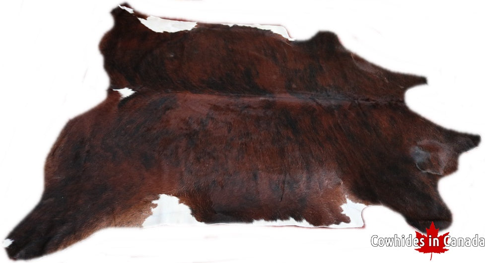 A 70383 Cowhide rug Collection Cowhides in Canada XXXL SUPER BIG SIZE