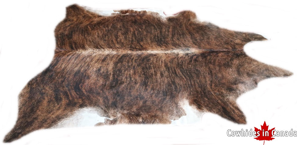 A  70630  Cowhide rug Collection Cowhides in Canada XXXL SUPER BIG SIZE