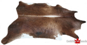 A  70711  Cowhide rug Collection Cowhides in Canada XXXL SUPER BIG SIZE