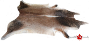 A  90000 Cowhide rug Collection Cowhides in Canada XXXL SUPER BIG SIZE