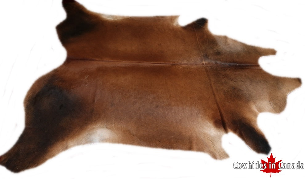 A  90002 Cowhide rug Collection Cowhides in Canada XXXL SUPER BIG SIZE