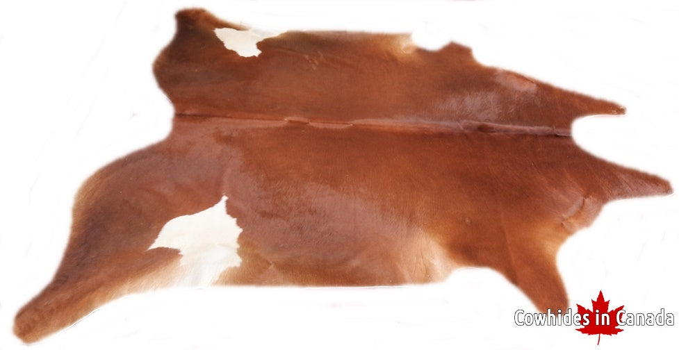 A  90007 Cowhide rug Collection Cowhides in Canada XXXL SUPER BIG SIZE