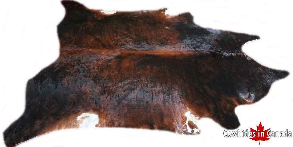 A  90021 Cowhide rug Collection Cowhides in Canada XXXL SUPER BIG SIZE