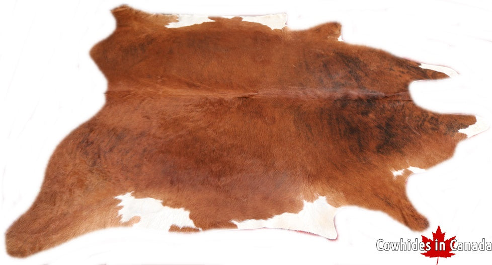 A  90041  Cowhide rug Collection Cowhides in Canada XXXL SUPER BIG SIZE