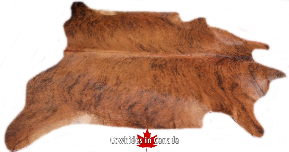 A  90050  Cowhide rug Collection Cowhides in Canada XXXL SUPER BIG SIZE