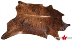 A  90070  Cowhide rug Collection Cowhides in Canada XXXL SUPER BIG SIZE