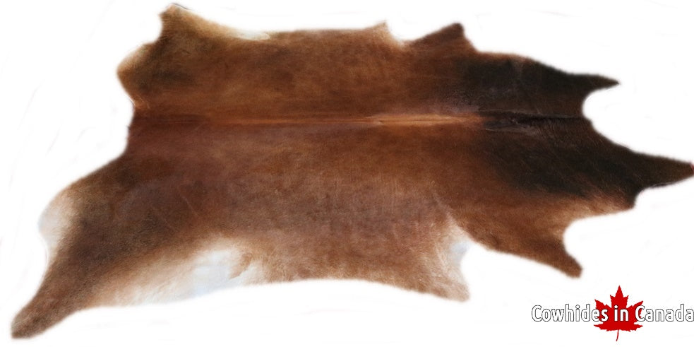 A  90073  Cowhide rug Collection Cowhides in Canada XXXL SUPER BIG SIZE