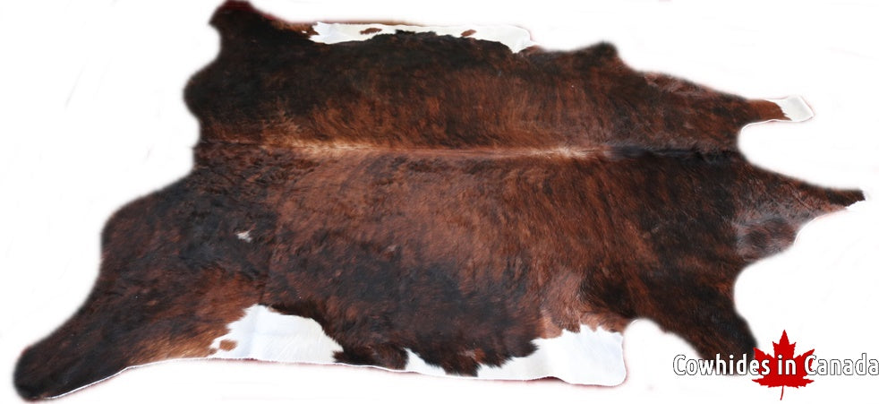 A  90081  Cowhide rug Collection Cowhides in Canada XXXL SUPER BIG SIZE