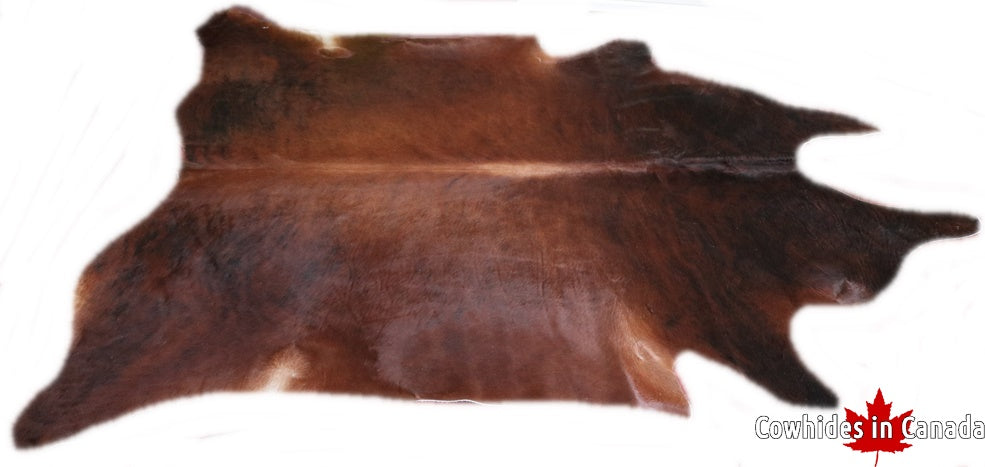 A 90113 Cowhide rug Collection Cowhides in Canada XXXL SUPER BIG SIZE