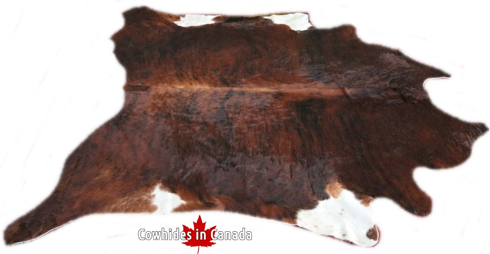 A  90233  Cowhide rug Collection Cowhides in Canada XXXL SUPER BIG SIZE