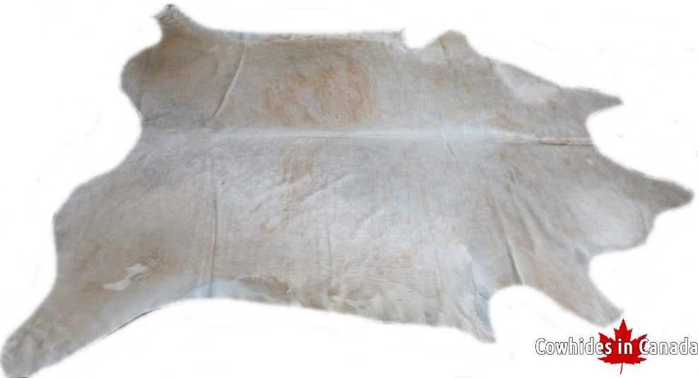 A  90243  Cowhide rug Collection Cowhides in Canada XXXL SUPER BIG SIZE